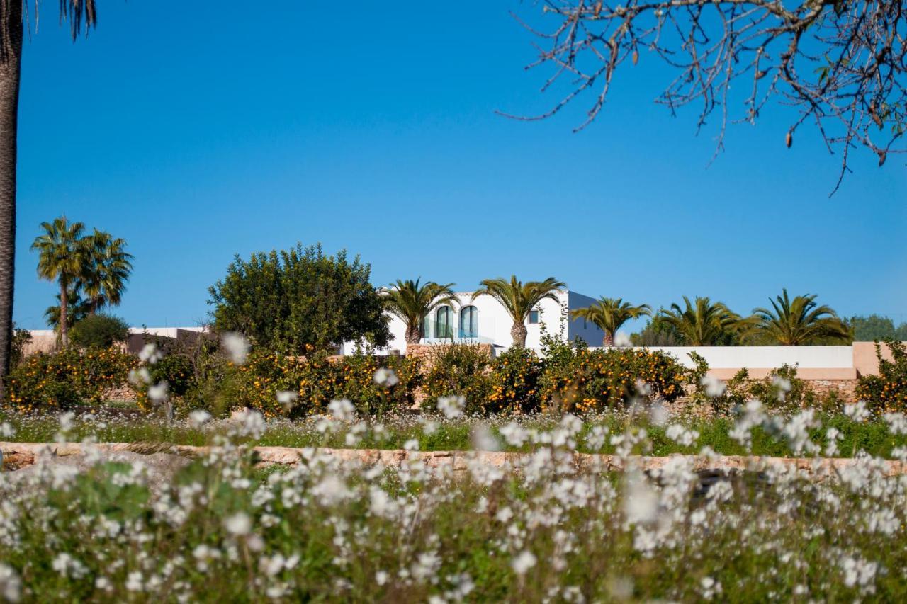 Agroturismo Safragell Ibiza Suites & Spa سانت لورنس دي بالافيا المظهر الخارجي الصورة